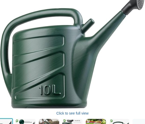 Hardys 10L Green Rose Watering Can - Outdoor & Indoor Watering Can with Detachable Sprinkler Rose Head, Long Spout Water Can for Houseplant & Garden Plants
